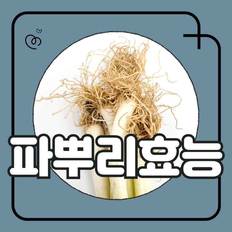 파뿌리 효능 감기 예방에 좋은 이유 : 네이버 블로그