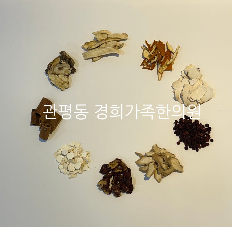 [관평동 한의원] 허리 디스크 한약 치료