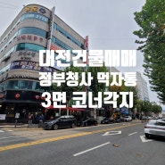대전 정부청사 앞 2만 세대 아파트 밀집 지역 3면 각지 상가 건물 매매