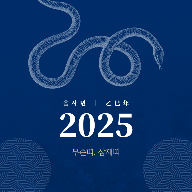 2025년 무슨해 띠 삼재띠 을사년 : 네이버 블로그