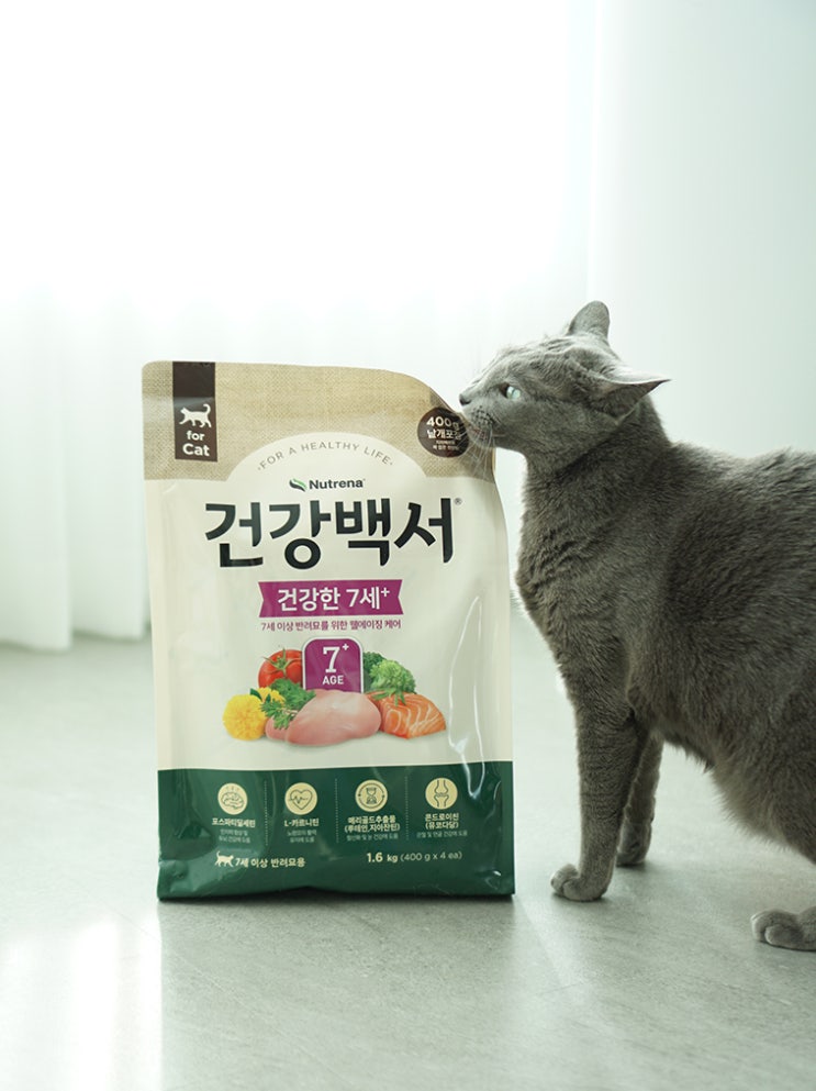 고양이 사료 건강백서 신제품 추천, 건강한 7세로 면역력 관리 : 네이버 블로그