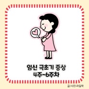 경산모 임신 극초기 증상 4주차, 5주차, 6주차