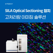 최고의 고처리량 이미징 솔루션, SILA Optical Sectioning 장치 🔍