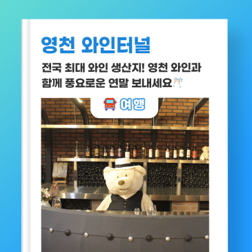 전국 최대 와인 생산지! 영천 와인터널과 함께 풍요로운 연말 보내세요