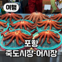 【여행】 한국 최대규모 어시장, 포항 죽도시장을 가다
