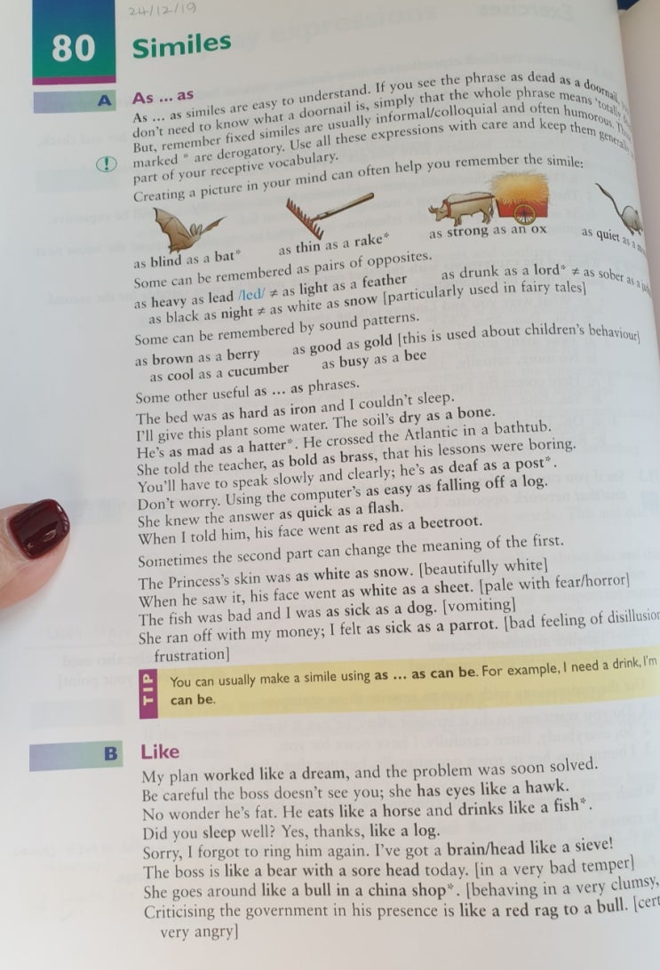 2024 영어공주프로젝트/ Day 80/English Vocabulary in Use/Similes 직유법 표현~as busy ...