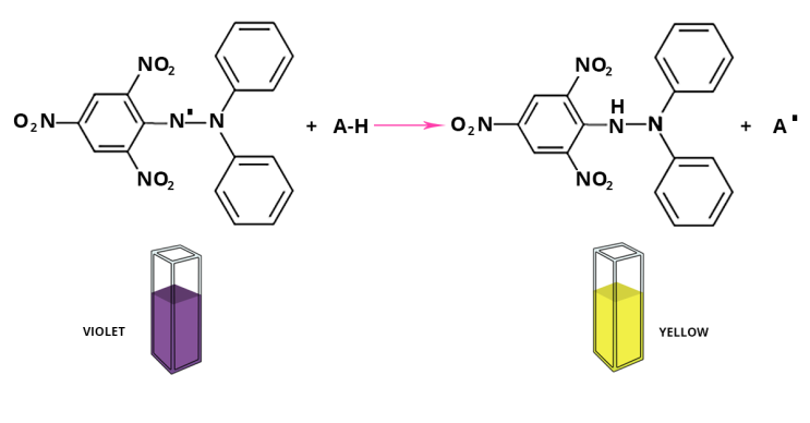 [식품분자생물학실험] DPPH radical scavenging activity assay : 네이버 블로그