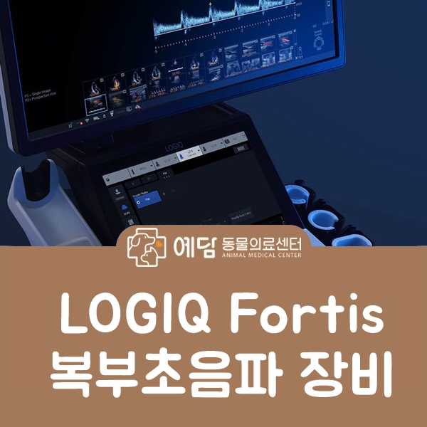 [담낭수술1위] 국내 최초, 최고의 복부초음파 LOGIQ Fortis 장비도입 : 네이버 블로그