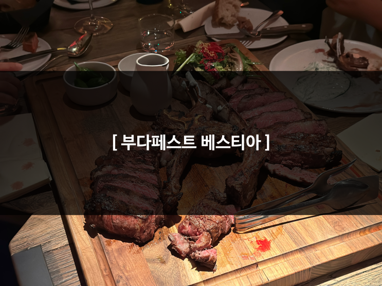 헝가리 | 베스티아 : 부다페스트 성 이슈트반 근처 분위기 좋은 스테....