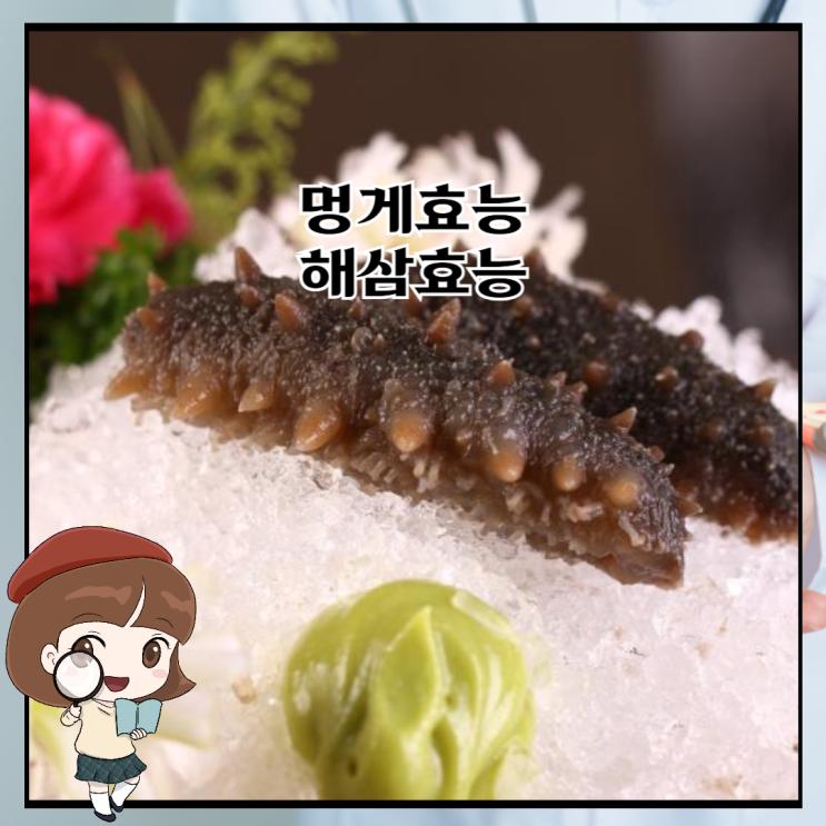 멍게효능, 해삼효능 어떻게 먹으면 좋을까요? : 네이버 블로그