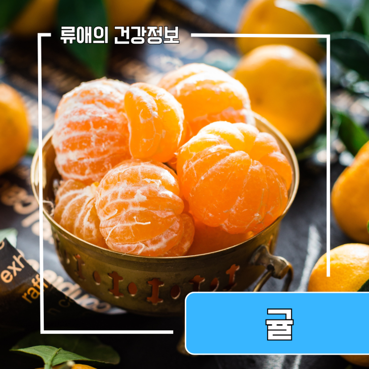 귤효능부작용 총정리 : 귤껍질 효능 정보 : 네이버 블로그