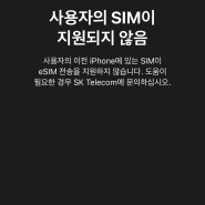 아이폰 이심 오류 - 사용자의 SIM이 지원되지 않음 해결 후기, 이전 iPhone SIM