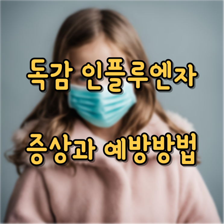 독감 인플루엔자 주요 증상과 예방 방법 : 네이버 블로그