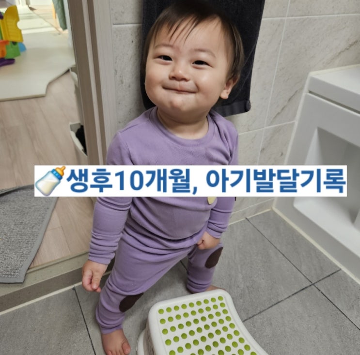 🍼생후10개월 아기발달기록 네이버 블로그