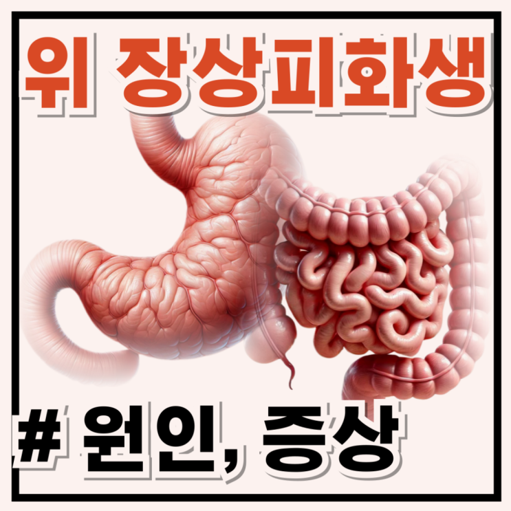 위염? 위암? 헷갈리지 마세요! 위 장상피화생 원인 및 증상과 구별법 : 네이버 블로그