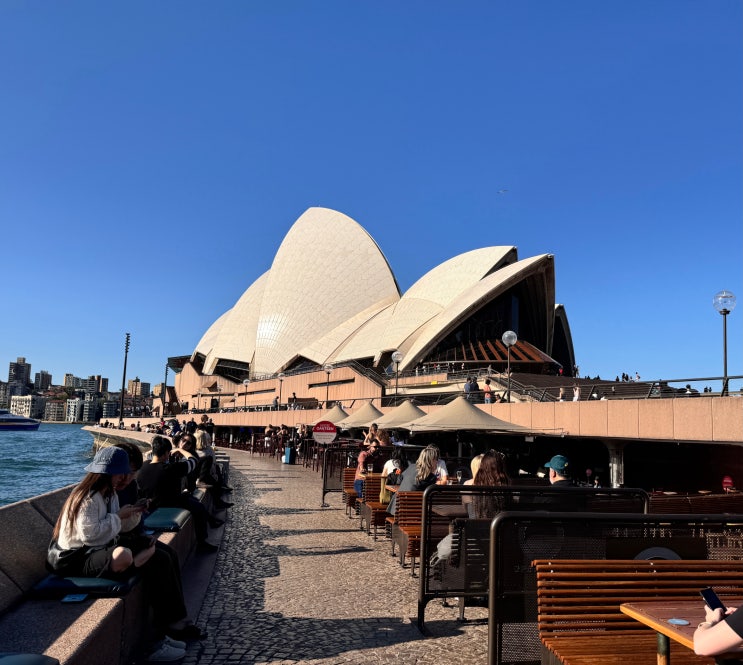 [sydney day1]OZ 601, 해피쉐프누들바, 6oz 커피, QVB, 오페라 하우스