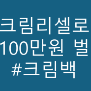 재택부업 크림리셀 강의 및 두달 후기