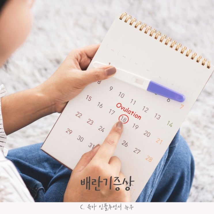 배란기증상 배란기임신증상 배란냉 배란통 : 네이버 블로그