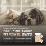 강아지/고양이 건강검진 및 건강검지+치과패키지 최대 32만원 할인 이벤트