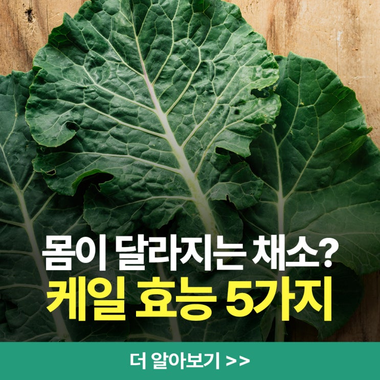 케일 효능 5가지, 부작용 및 섭취법 총정리! : 네이버 블로그