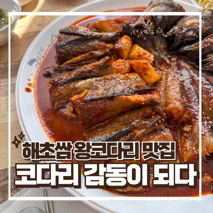 코다리 감동이 되다 본점에서 한심 조림 추천 - 용인 처인구 맛집 : 네이버 블로그