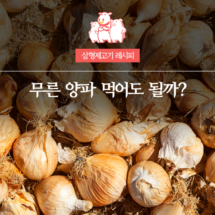 무른 양파 먹어도 될까? 썩은 양파와의 차이부터 보관법까지 정리했어요 : 네이버 블로그