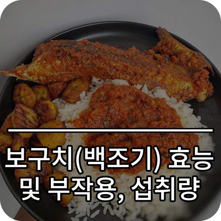 보구치 (백조기)의 효능, 부작용, 하루 권장 섭취량 : 네이버 블로그