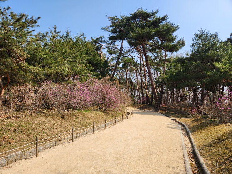화성 8경 화산서애와 수원 8경 화산두견 : 네이버 블로그