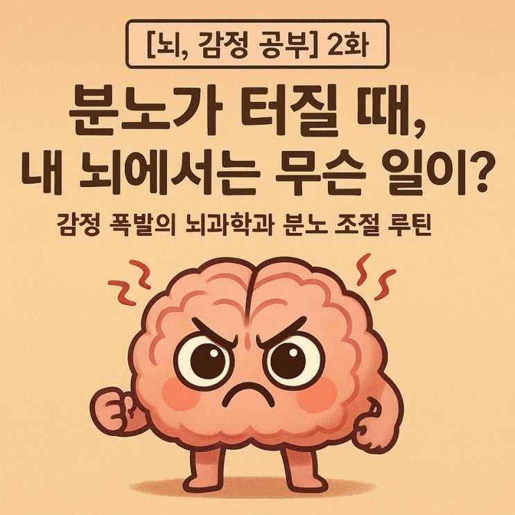 [뇌, 감정 공부] 2화 분노가 터질 때, 내 뇌에서는 무슨 일이? : 네이버 블로그