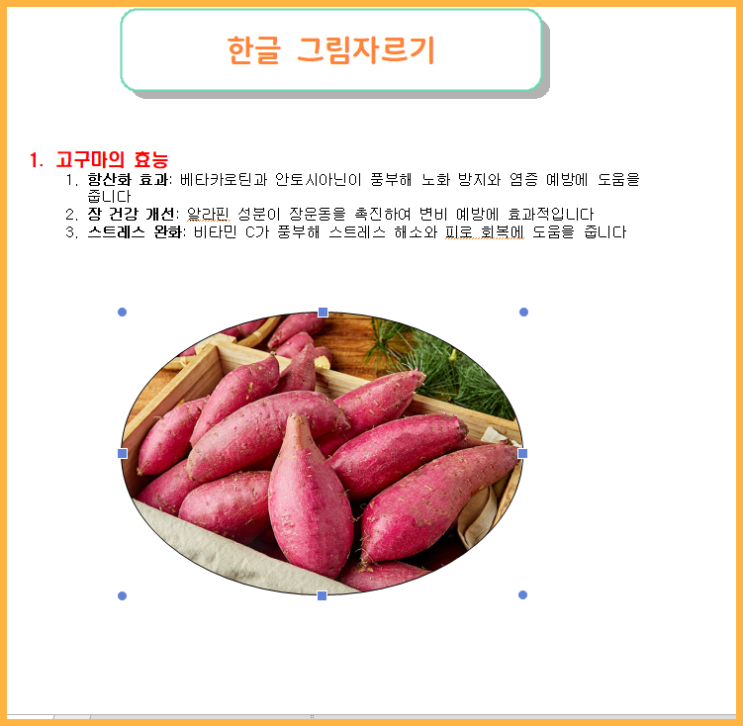 한글한컴오피스 그림사진불러오기 이미지자르기