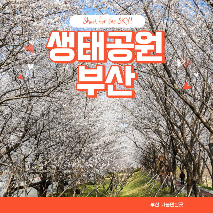 부산 강서구 가볼만한곳 대저 생태공원 벚꽃 대나무숲 유채꽃...