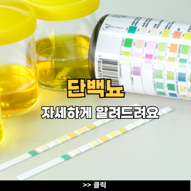 단백뇨 의심 증상 원인 단백뇨 치료 방법 : 네이버 블로그