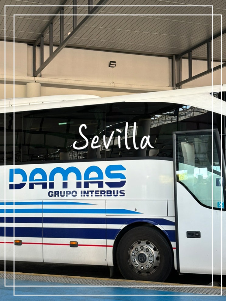 [스페인] 세비야에서 론다 가는법 / DAMAS 다마스 버스 / 세비야 Plaza de....
