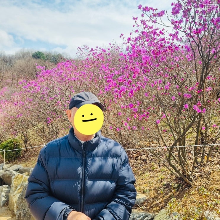 원미산 진달래 동산 나들이 : 네이버 블로그
