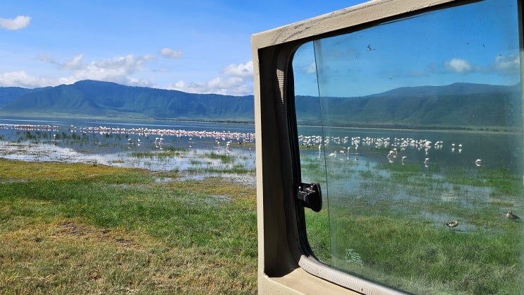아프리카 케냐, 탄자니아 사파리 투어 여행사 추천 - 켄타우 사파리(Kentau Safaris) : 네이버 블로그