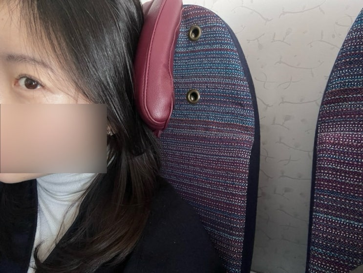 대한항공 A380 KE081 뉴욕 직항 이용 후기 : 네이버 블로그
