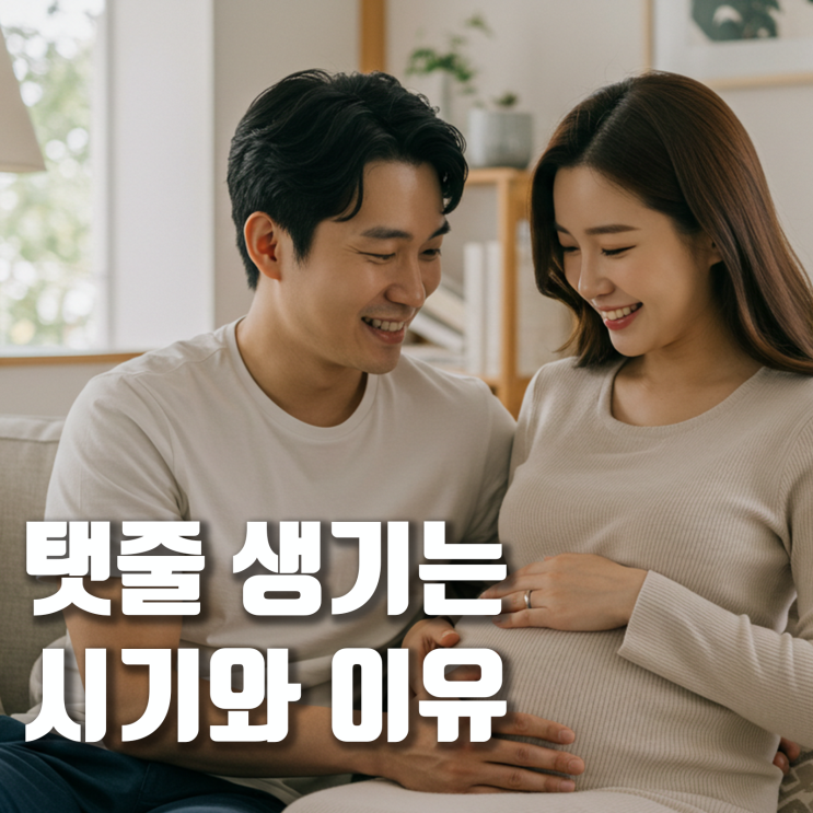 탯줄 생기는 시기와 이유, 구조와 역할 : 네이버 블로그