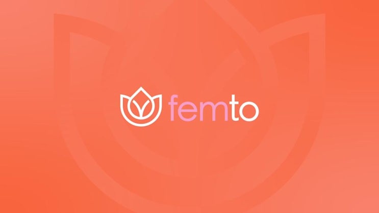 펨토 테크놀로지스(FMTO) 사태 정리, 워런트란? : 네이버 블로그