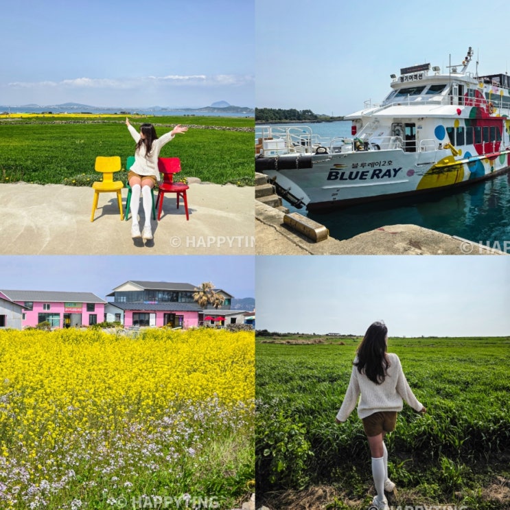 제주도 가족여행 준비물 가파도 유채꽃 청보리밭 축제 : 네이버 블로그