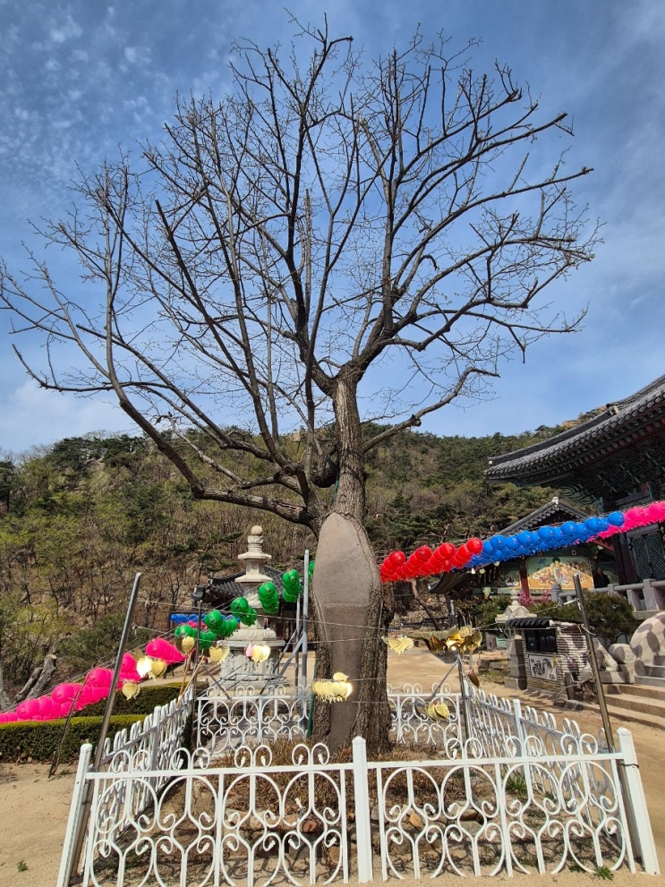 하병기 : 네이버 블로그