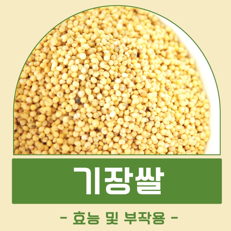 기장쌀 효능 부작용 영양성분 칼로리 보관법 : 네이버 블로그