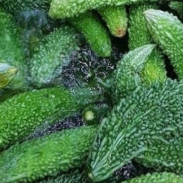 P20231004_194301873_E3178AB1-F799-4165-A11D-6CC03CCBA5EA.jpg?type=s3