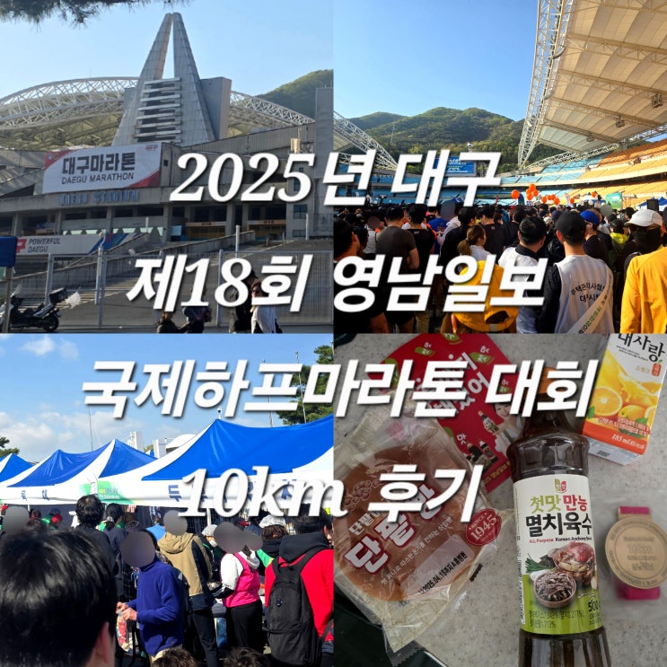 2025년 대구 제18회 영남일보 국제 하프마라톤 대회 10km 후기
