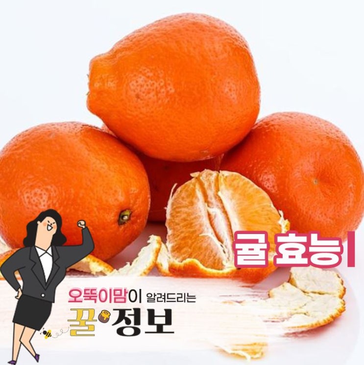 귤 및 귤껍질 효능 알고 챙겨요! : 네이버 블로그