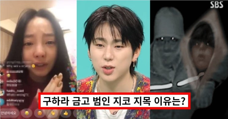구하라 금고 범인 지코 연루설 확산에.. 사망 이유, 타살 의혹까지 불거져 (+키, 그알)