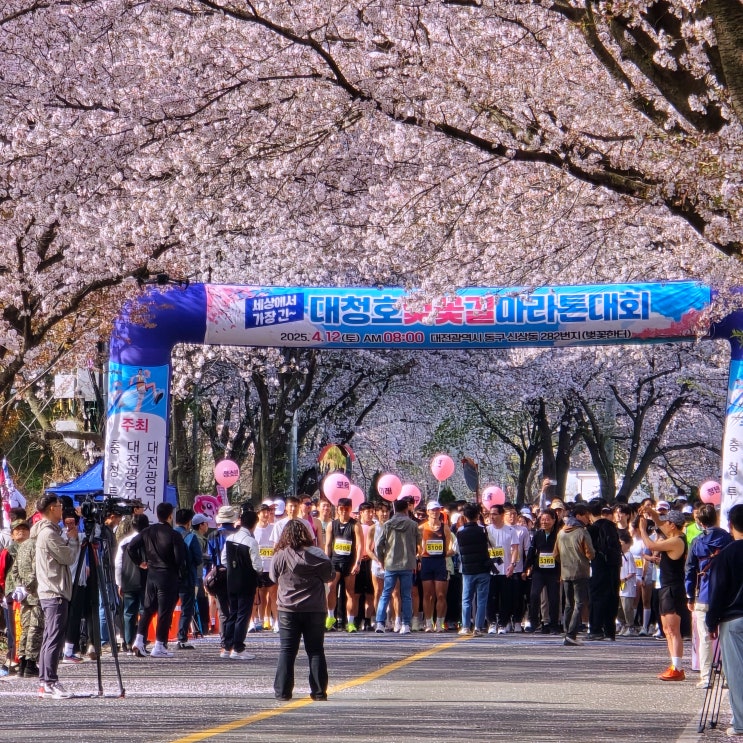 [마라톤] 2025 대청호 벚꽃길 마라톤 대회 참가후기 #대청호마라톤 #대전마라톤 #벚꽃마라톤 #이색마라톤 #기부마라톤
