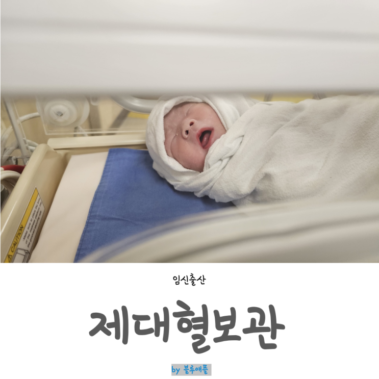임산부 출산준비물 제대혈, 의사들도 선택할까? : 네이버 블로그