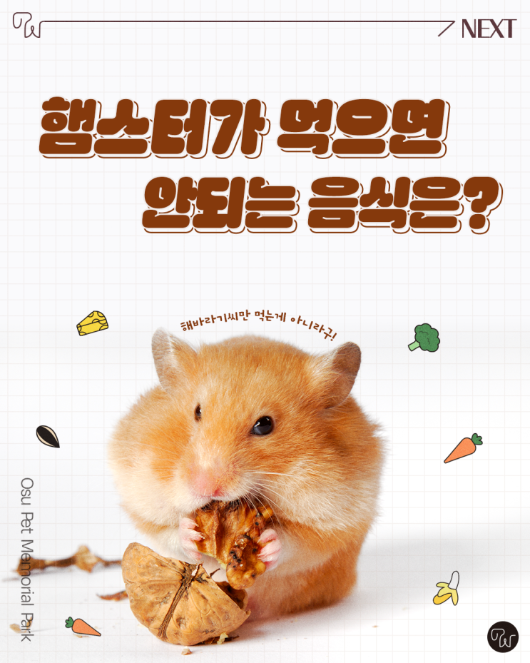 오수펫이 알려주는 햄스터 먹이, 먹을 수 있는 음식 VS 먹을 수 없는 음식 : 네이버 블로그
