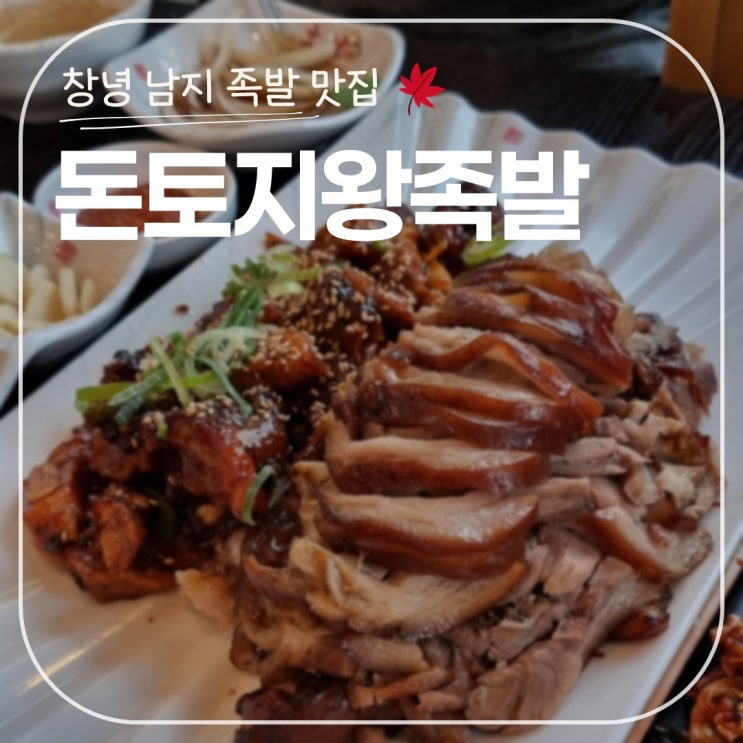 창녕 남지 유채꽃 축제장 근처 맛집 '돈토지왕족발' 내돈내산 솔직 후기 : 네이버 블로그