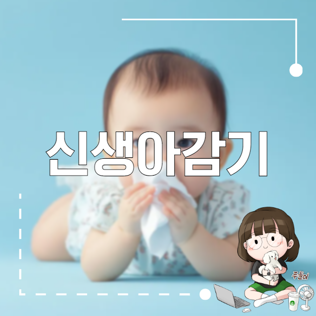 신생아감기 재채기 콧물 나올때 : 네이버 블로그